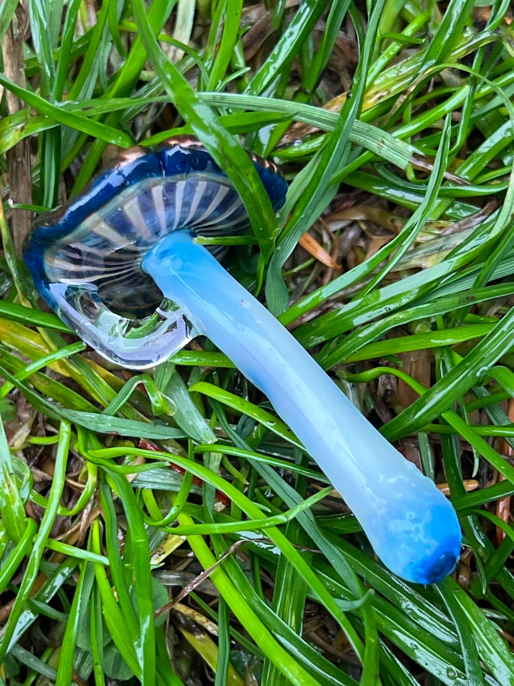 Image of Wavy Blue Staining Mushroom Pendant