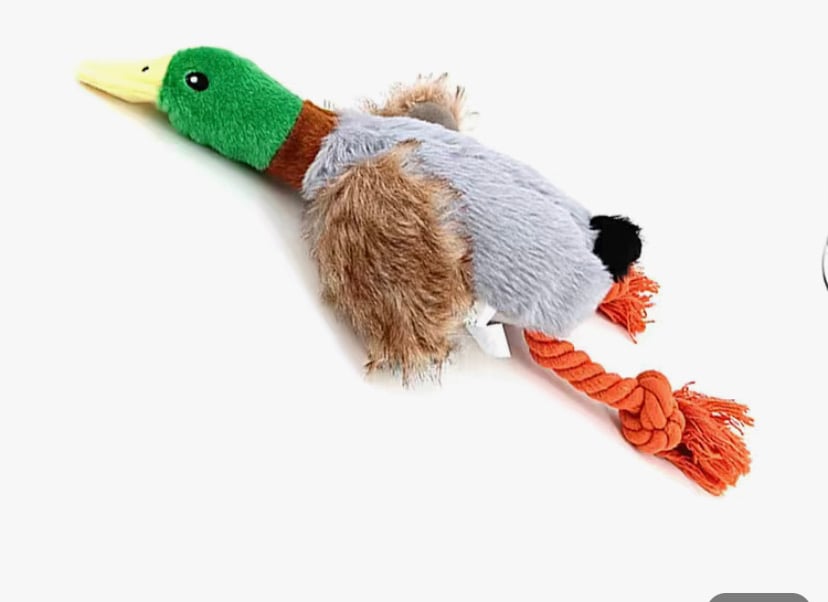 Image of rubber duck dog toy cleaning teeth rope 