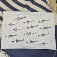 Image 2 of Sardines 💙