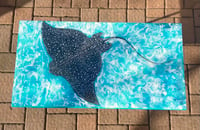 Image 2 of Stingray Table 