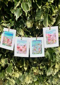 Image 2 of Little Summer Studies 