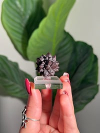 Image 1 of PROPHECY STONE ON ACRYLIC STAND -EGYPT- B