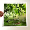 Swimming Laps - Archive Quality Print