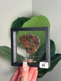 Image 8 of XL PYROPE GARNET X CHROME DIOPSIDE X ENSTATITE -AUSTRIA- CHOOSE YOUR OWN