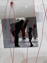 Image 4 of My reasons for doing this are clear- Dana Ingham