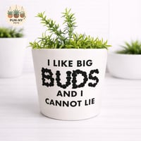 I Like Big Buds And I Cannot Lie Planter Pot - White 14cm