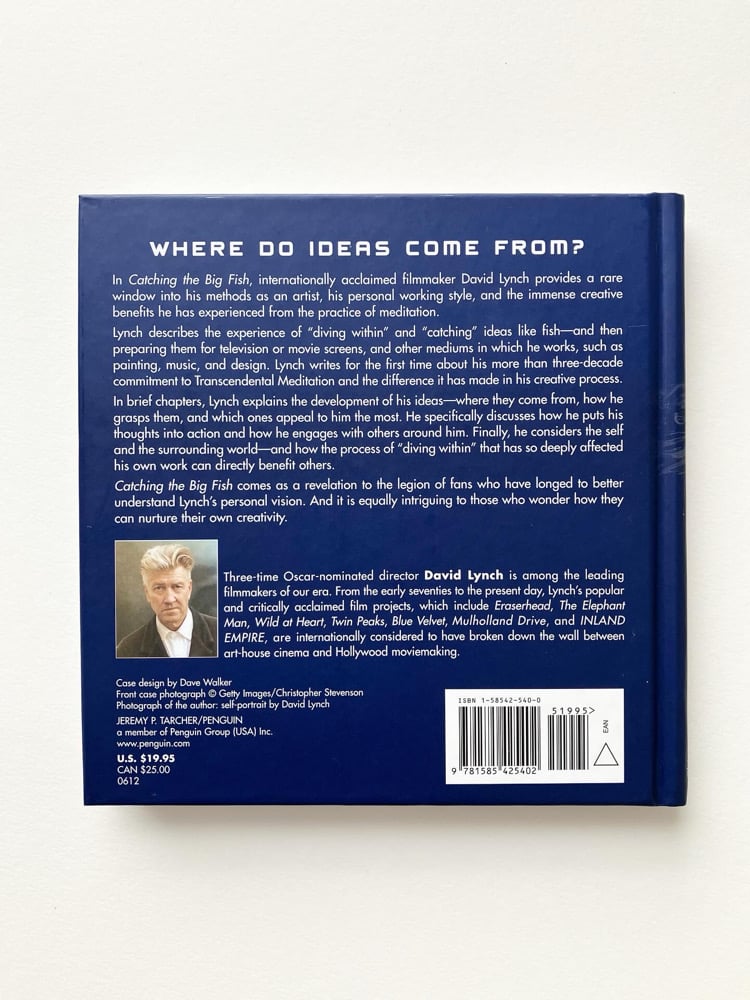 Catching the Big Fish: Meditation, Consciousness, and Creativity Image 2