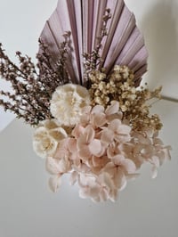 Image 4 of Baby's Breath 
