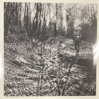 Topographies - Interior Spring 