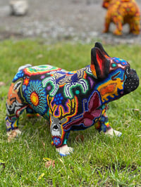 Image 2 of Large Frenchie 06