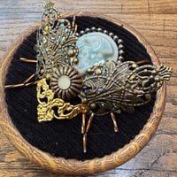 Image 3 of Cameo beetle (a, 3.5 inches)