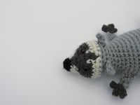 Image 7 of Raccoon Charms