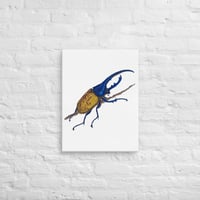 Image 3 of Canvas of Hercules Beetle