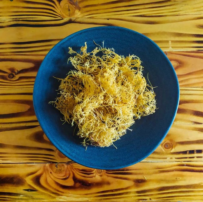 Sea moss   - Wildcrafted 100%