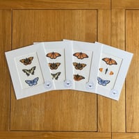 Image 1 of Butterfly Collection Giclee Print - Various Designs