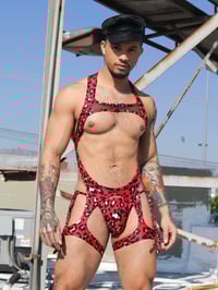 Image 1 of THE RED-LIGHT SLING