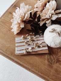 Image 1 of Simple sandy bow