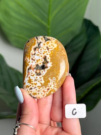 Image 3 of CHOOSE YOUR OWN ORBICULAR VEINLESS OCEAN JASPER PALM STONES -MADAGASCAR- 