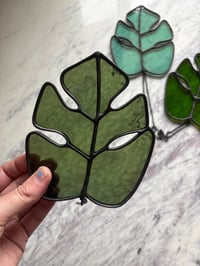 hold-Monstera Leaf