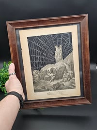 Image 9 of Large-  STATEMENT PIECE "1800's Dante Inferno Gustave Dore" page with preserved spider web - B