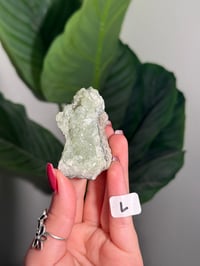 Image 12 of CHOOSE YOUR OWN SMALL PREHNITE CLUSTER -INDIA-