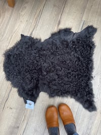 Image 13 of Sheepskin Pelts