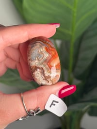 Image 13 of CHOOSE YOUR OWN MEXICAN LACE AGATE PALMSTONES 