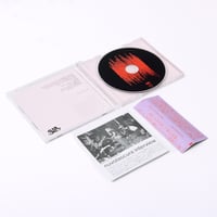 Image 2 of DAMAGED How This All Ends CD (Japan Edition) 