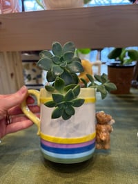 Image 2 of Ghost Echeveria in Teddy Bear Mom Mug