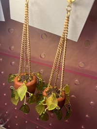 Image 2 of Potted Plants (Made To Order)