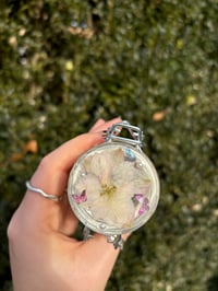 Image 5 of Winter Solstice 