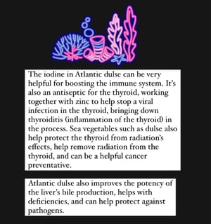 Image of Atlantic Dulse
