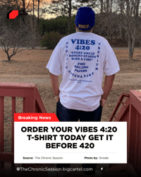 Image 1 of VIBES 420 T-Shirt 