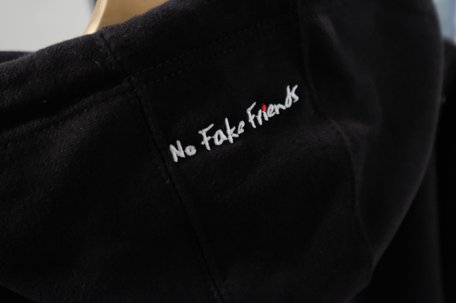 Hoodie no fake discount friends