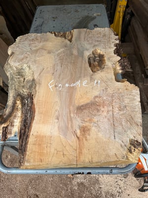 Figured maple 11