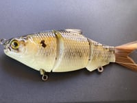 Image 2 of Tennessee Shad Swimmer 