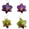 orchid earrings