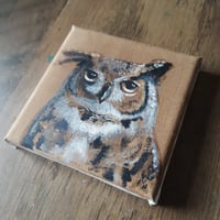 Image 2 of Great Horned Owl