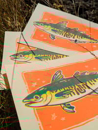 Image 3 of CMY Mackerel