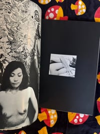 Image 7 of Mandara,  Hajime Sawatari & Akio Jissoji, 1971.