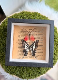 Image 2 of Wings & Words 