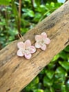 pink hibiscus in 14kGF