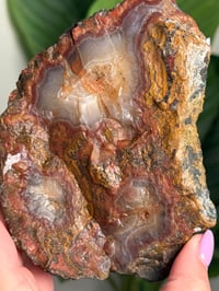 Image 3 of XL RED MOROCCAN AGATE A