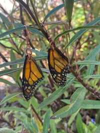 Image 4 of Butterfly Blessings