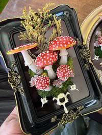 Image 1 of Amanita muscaria frame LED
