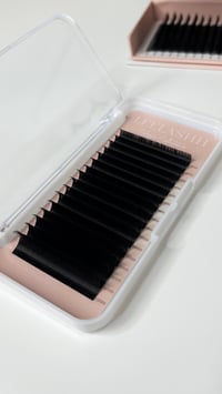 .15 Classic Lash Trays 