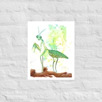 MANTIS Print