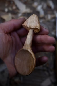 Image 4 of Mushroom Scoop