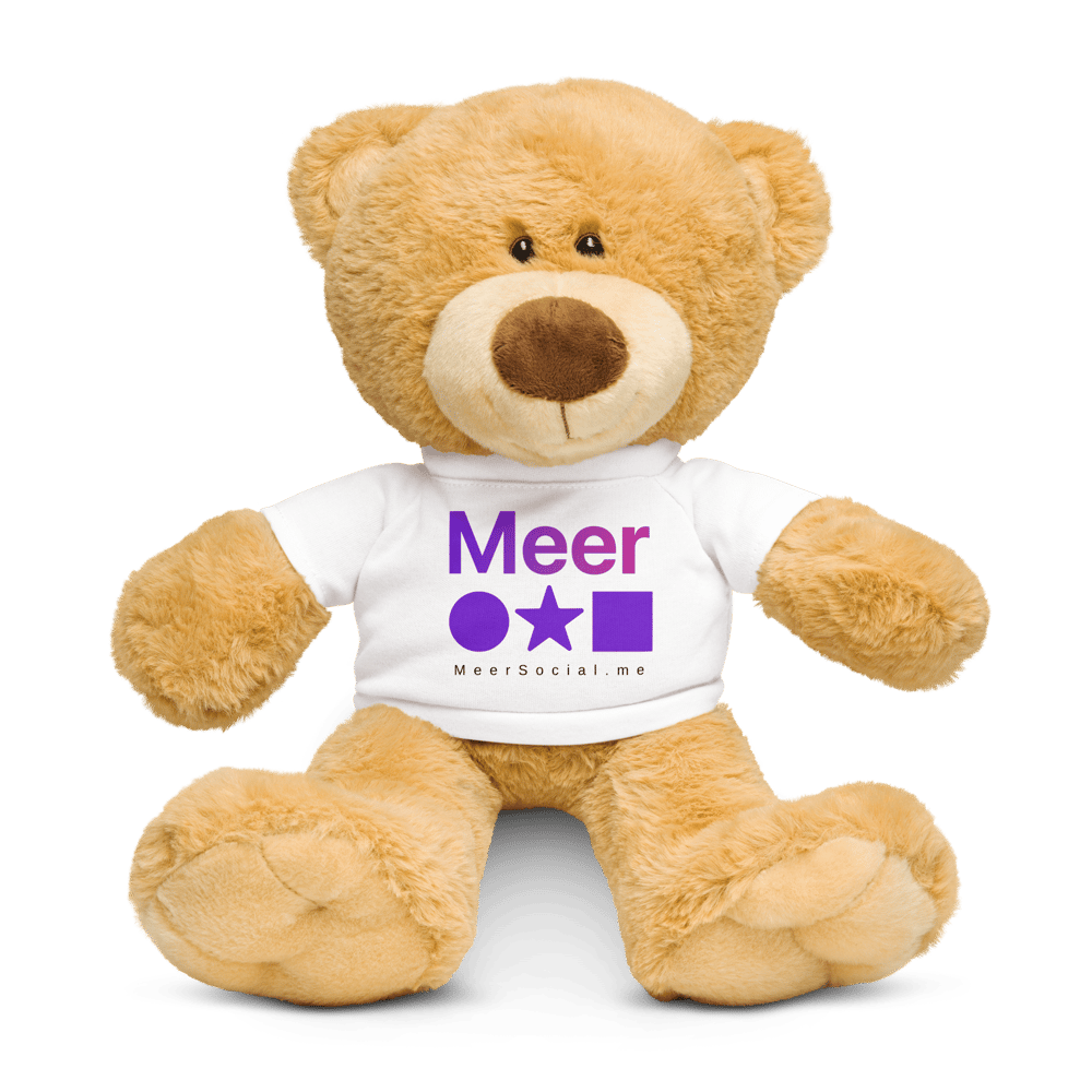 Image of Meer "Social Bear" Toy - MeerBuddies