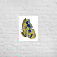 Image 2 of Butterfly Print